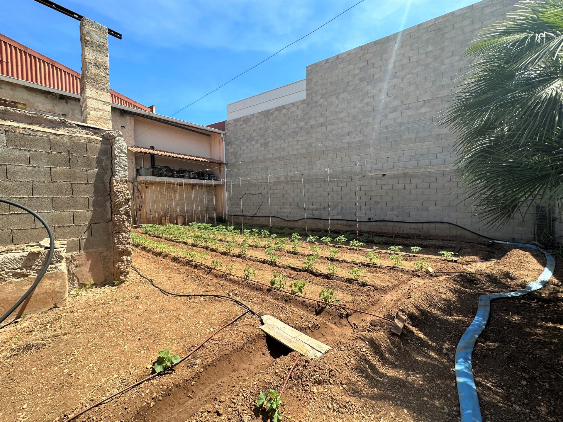 Gewerbeimmobilien in Sa Pobla, Mallorca, Spanien 727 m2 Nr. 69031