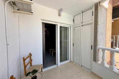 Продажа квартиры в Торревьеха, Аликанте, Испания 2 спальни, 80м2 №178168 - фото 24