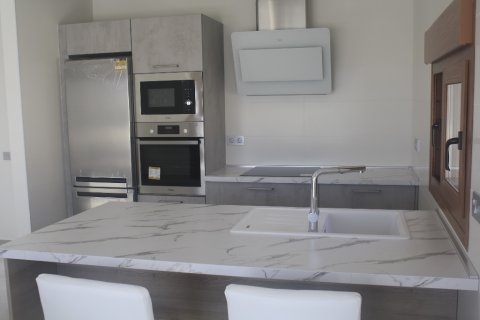 Продажа виллы в Лос Альтос, Аликанте, Испания 3 спальни, 295м2 №144703 - фото 14