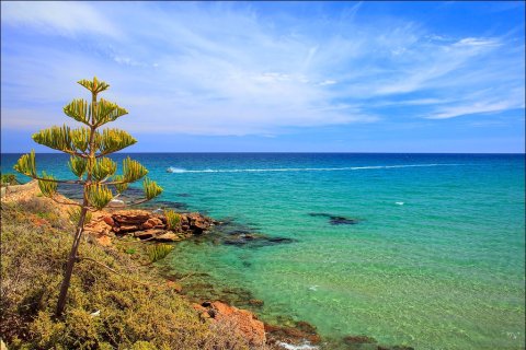 Продажа виллы в Лос Альтос, Аликанте, Испания 3 спальни, 295м2 №144703 - фото 22