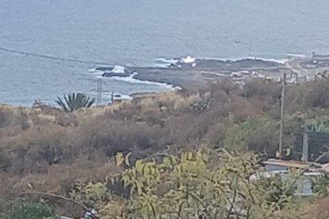 Tontti myytävänä Santa Cruz De La Palma, La Palma, Espanja , 830 m2 No. 185974 - kuva 10