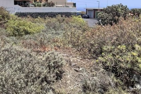 Tontti myytävänä Santa Cruz De La Palma, La Palma, Espanja , 830 m2 No. 185974 - kuva 5