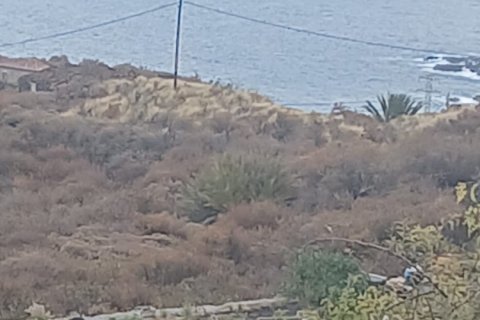 Tontti myytävänä Santa Cruz De La Palma, La Palma, Espanja , 830 m2 No. 185974 - kuva 11