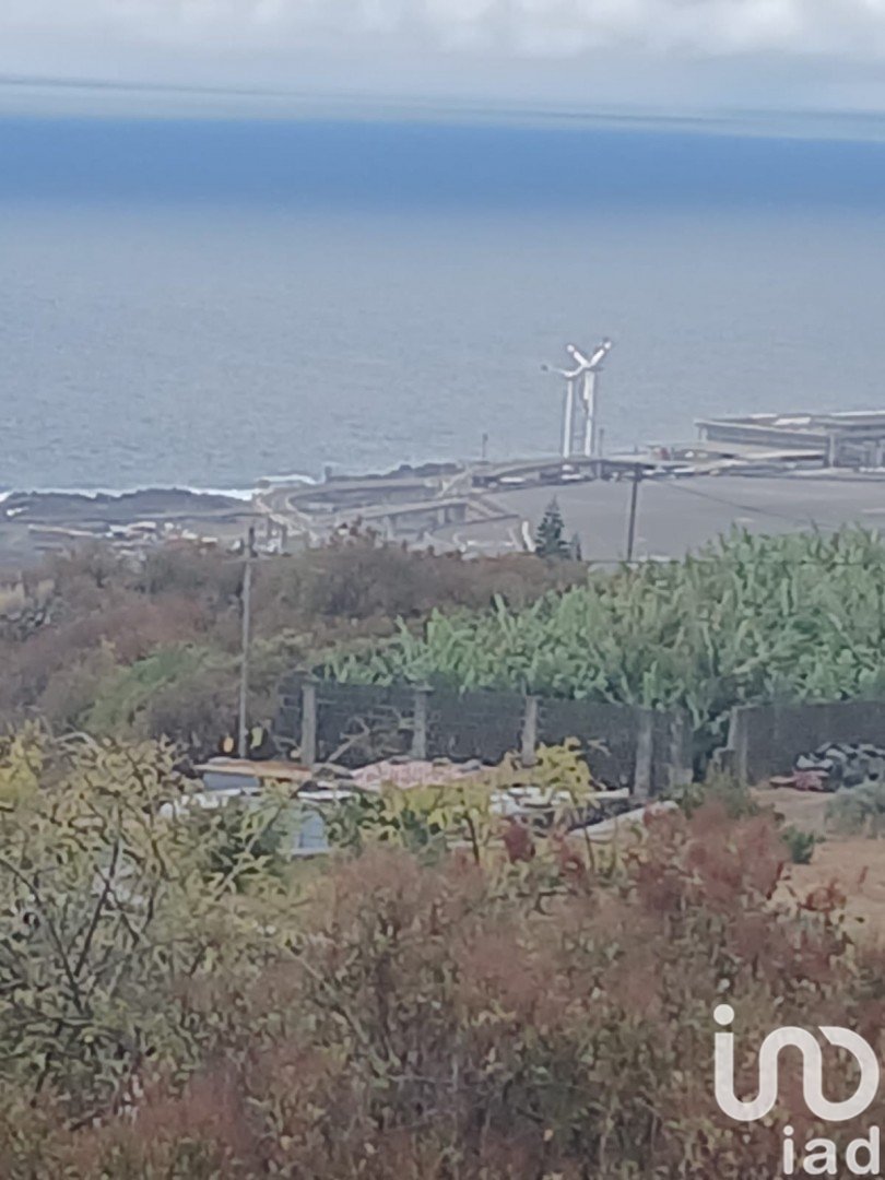 Land in Santa Cruz De La Palma, La Palma, Spanien 830 m2 Nr. 185974
