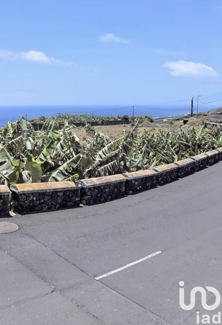 Land in Santa Cruz De La Palma, La Palma, Spanien 830 m2 Nr. 185974