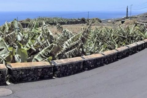 Tontti myytävänä Santa Cruz De La Palma, La Palma, Espanja , 830 m2 No. 185974 - kuva 2
