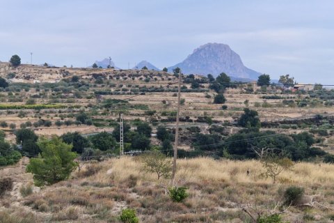 Finca pārdošanā Relleu, Alicante, Spānijā 7 istabas, 600 m2 Nr. 138734 - attēls 2