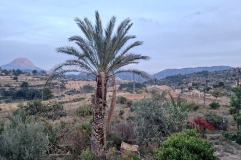 Finca pārdošanā Relleu, Alicante, Spānijā 7 istabas, 600 m2 Nr. 138734 - attēls 14