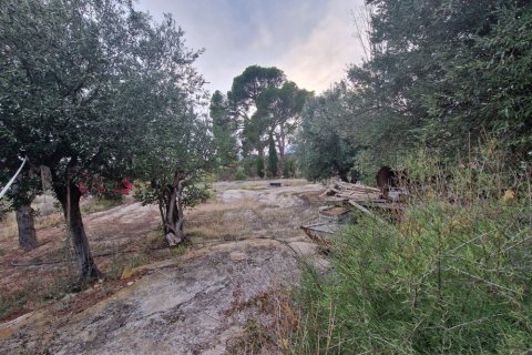 Finca pārdošanā Relleu, Alicante, Spānijā 7 istabas, 600 m2 Nr. 138734 - attēls 9