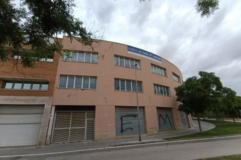 Apartment à vendre à Santa Coloma de Cervello, Barcelona, Espagne, 2705 m2 No. 167192 - photo 2