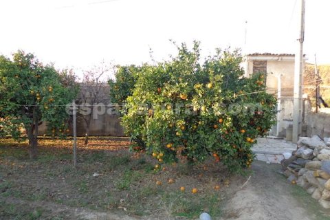 Дом в Пурчена, Альмерия, Испания 2 спальни, 80м2 №184095