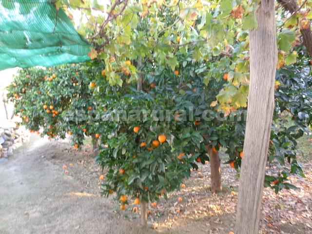 Casa a Purchena, Almeria, Spagna 2 camere da letto, 80 mq. N° 184095