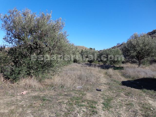 Hus i Arboleas, Almeria, Spanien 6 sovrum, 300 kvm. Nr. 184096