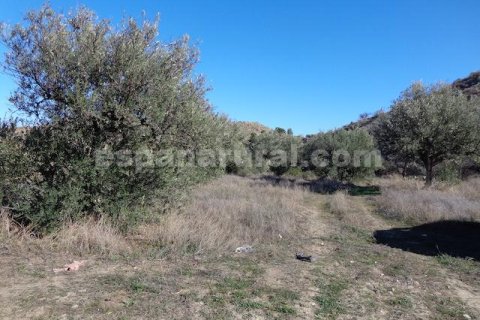 Продажа дома в Арболеас, Альмерия, Испания 6 спален, 300м2 №184096 - фото 3