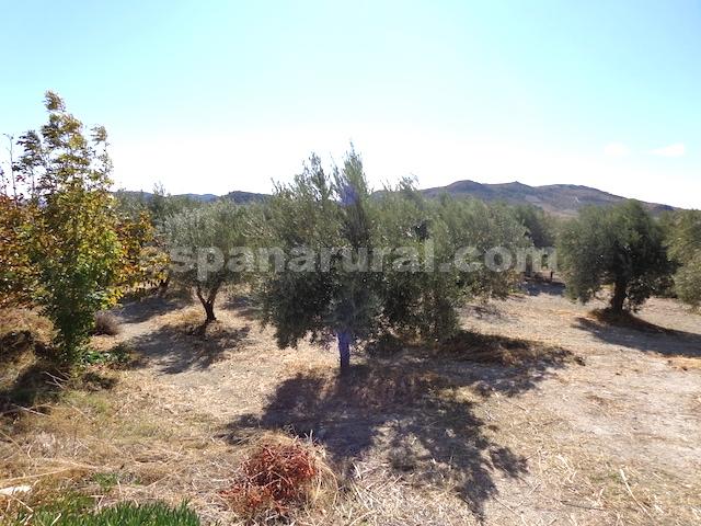 House in Oria, Almeria, Spanien 2 Schlafzimmer, 100 m2 Nr. 184097