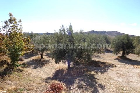 House for sale in Oria, Almeria, Spain 2 bedrooms, 100 sq.m. No. 184097 - photo 7