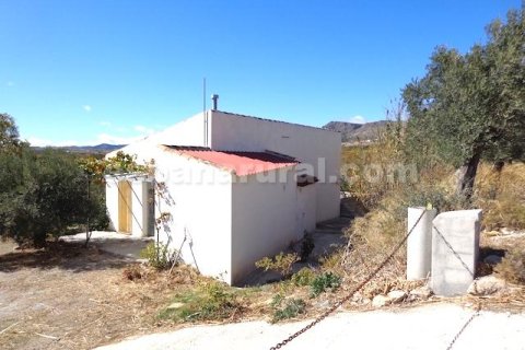 House for sale in Oria, Almeria, Spain 2 bedrooms, 100 sq.m. No. 184097 - photo 11