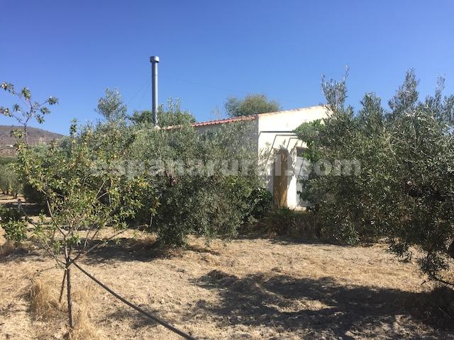 House in Oria, Almeria, Spanien 2 Schlafzimmer, 100 m2 Nr. 184097