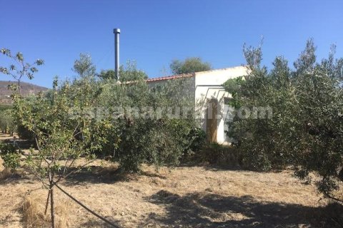 House for sale in Oria, Almeria, Spain 2 bedrooms, 100 sq.m. No. 184097 - photo 10
