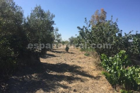House for sale in Oria, Almeria, Spain 2 bedrooms, 100 sq.m. No. 184097 - photo 8
