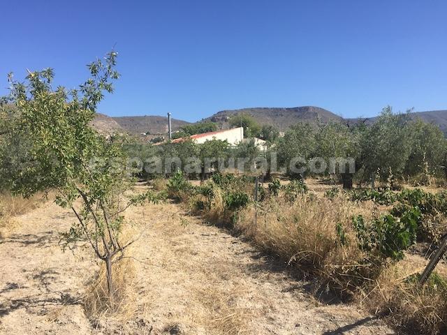 House in Oria, Almeria, Spanien 2 Schlafzimmer, 100 m2 Nr. 184097