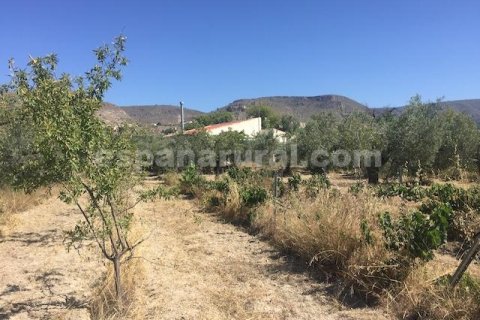 House for sale in Oria, Almeria, Spain 2 bedrooms, 100 sq.m. No. 184097 - photo 9
