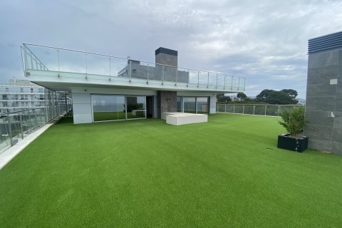 Apartment à vendre à Sant Andreu de Llavaneres, Barcelona, Espagne, 2 chambres, No. 141175 - photo 2