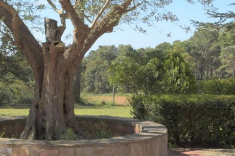 Сasa en venta en Begur, Gerona, España 6 dormitorios, No. 141173 - foto 4