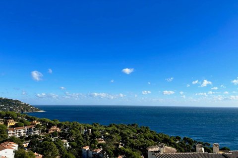 Apartment à vendre à Calella De Palafrugell, Girona, Espagne, 3 chambres, No. 141174 - photo 4