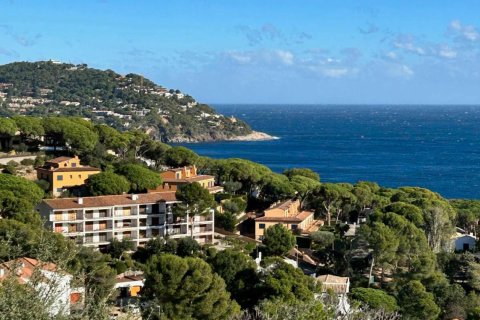 Apartment à vendre à Calella De Palafrugell, Girona, Espagne, 3 chambres, No. 141174 - photo 15