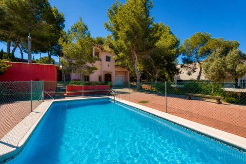 Apartamento en venta en San Miguel de Salinas, Alicante, España 300 m2 No. 168006 - foto 4
