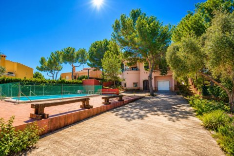 Apartamento en San Miguel de Salinas, Alicante, España 300 m2 No. 168006