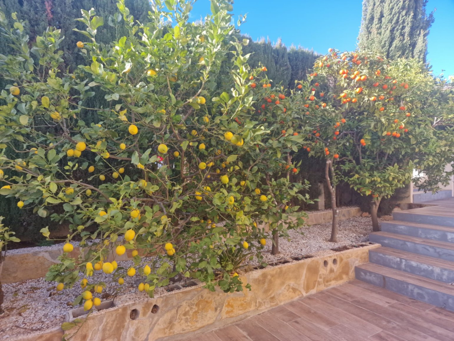 Villa in Benitachell, Alicante, Spanien 3 Schlafzimmer, 300 m2 Nr. 133276