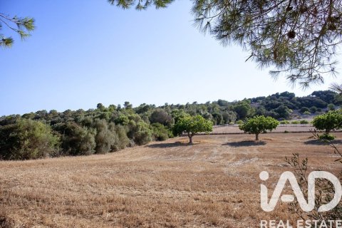 Terreno a Palma de Majorca, Mallorca, Spagna 1173 mq. N° 173172