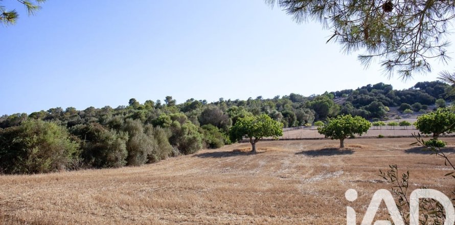 Land plot à Palma de Majorca, Mallorca, Espagne 1173 m2 No. 173172