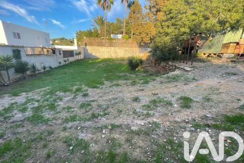Działka w Ibiza town, Ibiza, Hiszpania 612 mkw. nr 173173 – zdjęcie 10