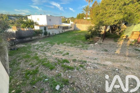 Działka w Ibiza town, Ibiza, Hiszpania 612 mkw. nr 173173 – zdjęcie 9