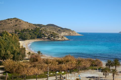 Apartament w Villajoyosa, Alicante, Hiszpania 1 sypialnia, 48 mkw. nr 167855 – zdjęcie 12