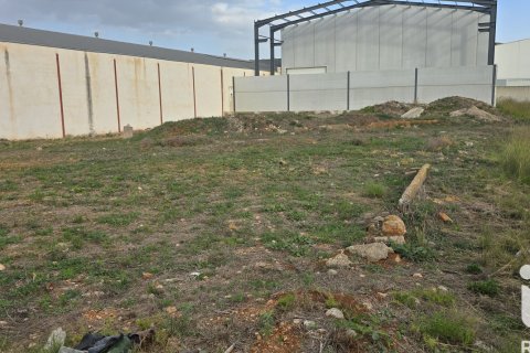 Parcela en venta en El Verger, Alicante, España 1435 m2 No. 152744 - foto 2