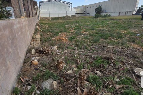 Parcela en venta en El Verger, Alicante, España 1435 m2 No. 152744 - foto 11