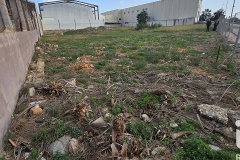 Parcela en venta en El Verger, Alicante, España 1435 m2 No. 152744 - foto 12