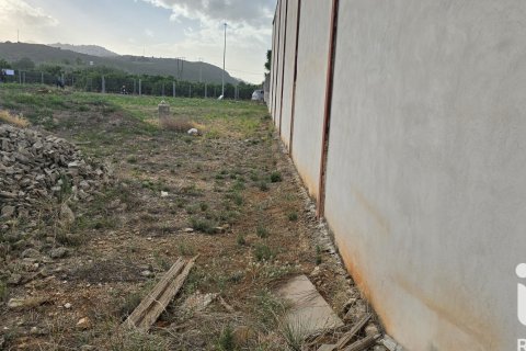 Parcela en venta en El Verger, Alicante, España 1435 m2 No. 152744 - foto 14