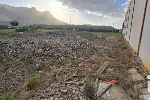 Parcela en venta en El Verger, Alicante, España 1435 m2 No. 152744 - foto 10