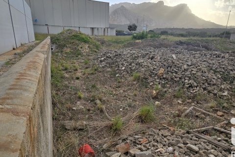 Parcela en venta en El Verger, Alicante, España 1435 m2 No. 152744 - foto 15