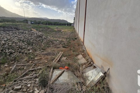 Parcela en venta en El Verger, Alicante, España 1435 m2 No. 152744 - foto 5