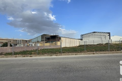 Земельный участок в Эль Вергер, Аликанте, Испания 1435м2 №152744