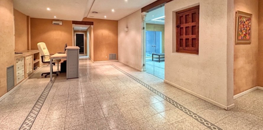 Коммерческая недвижимость в Сьюдад-Реаль, Сьюдад Реаль, Испания 325м2 №152741