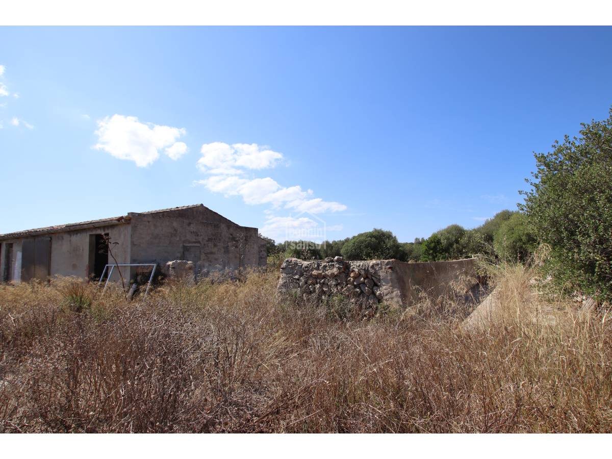 Terreno a Alaior, Menorca, Spagna 779 mq. N° 65348