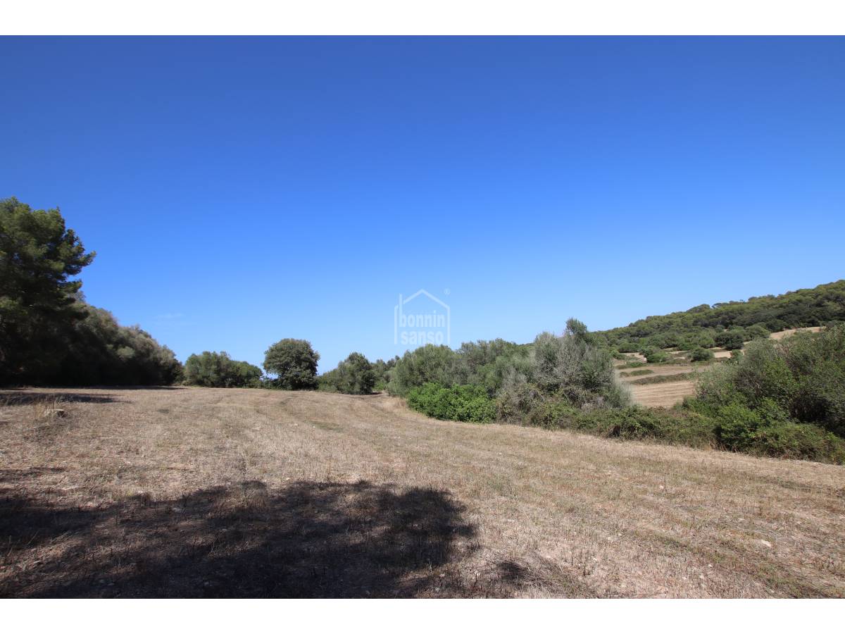Terreno a Alaior, Menorca, Spagna 779 mq. N° 65348