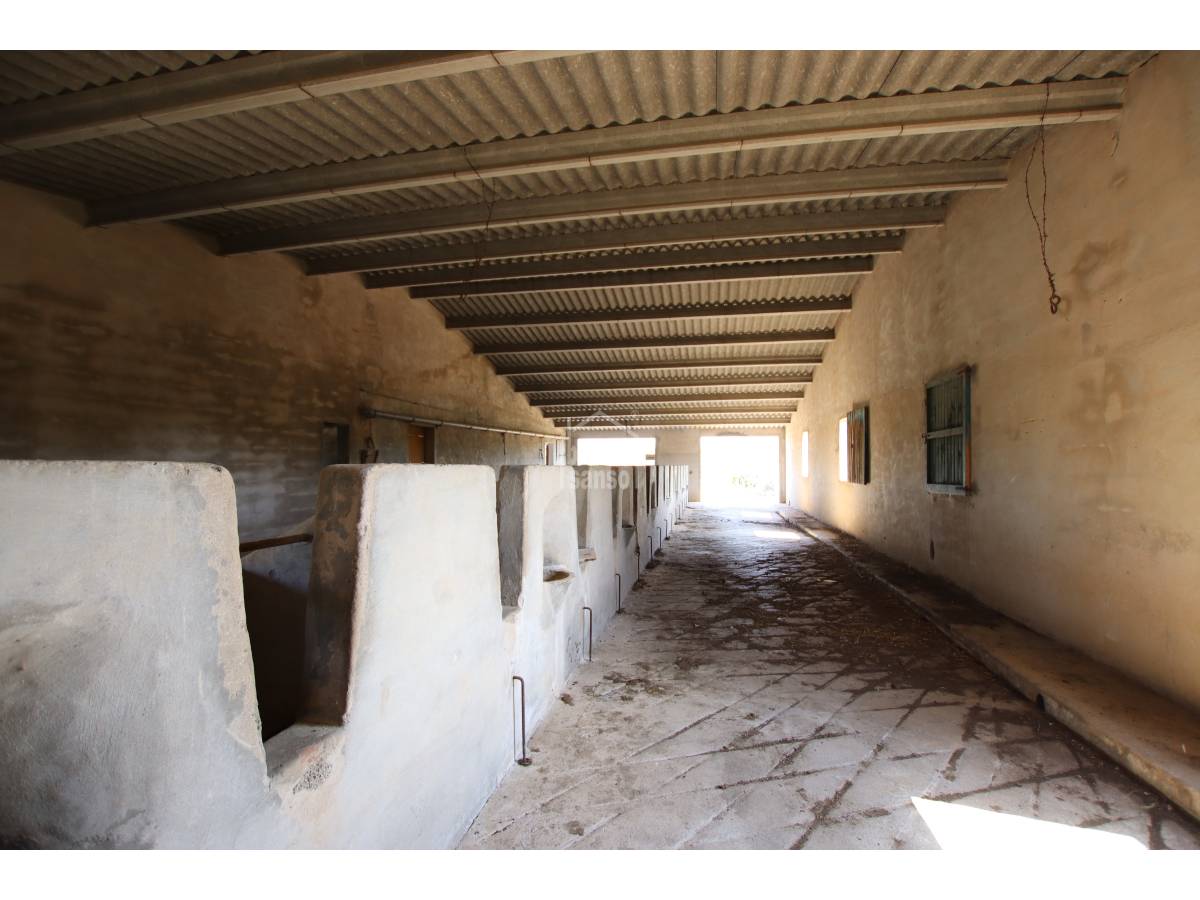 Terreno a Alaior, Menorca, Spagna 779 mq. N° 65348